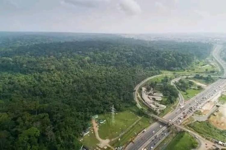 Côte d'Ivoire/Protection de la biodiversité : une nouvelle réserve naturelle de 49 hectares à Alani (Rubino)